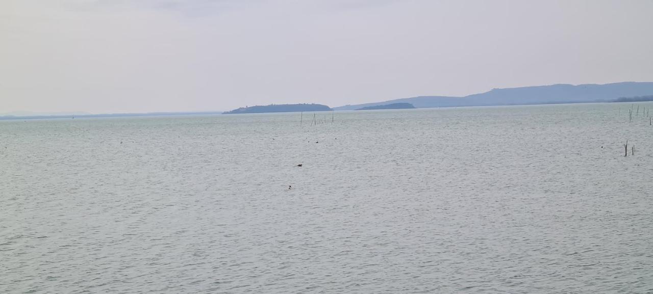 Appartamento Lago Trasimeno - Torricella Pg エクステリア 写真